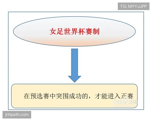 世界杯历史积分规律预测